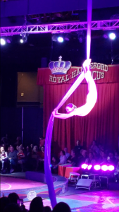 Royal Hanneford Circus performer 